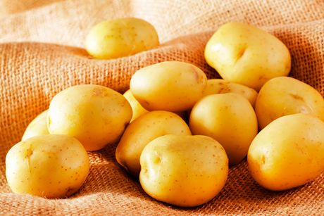 Kartoffel als Heilpflanze: Gesund, kalorienarm und heilsam