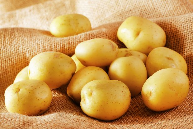 Kartoffel als Heilpflanze: Gesund, kalorienarm und heilsam