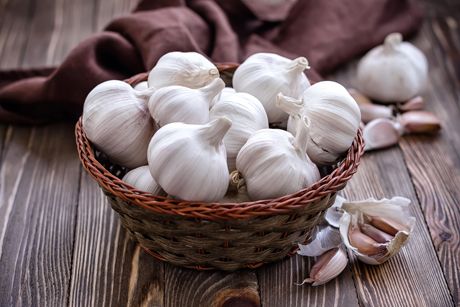 Knoblauch als Heilpflanze