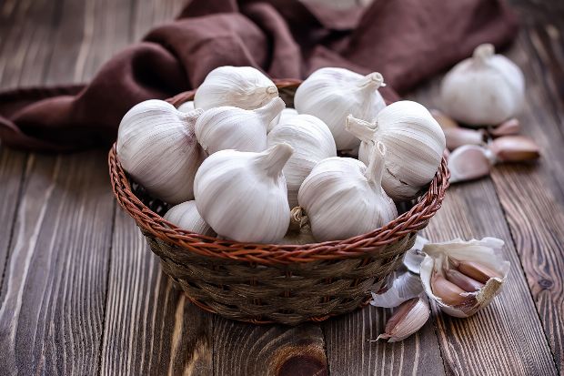 Knoblauch als Heilpflanze Knoblauch als Heilpflanze