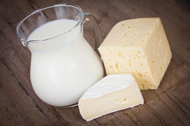 Milchprodukte Milchprodukte