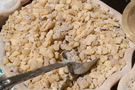 Myrrhe als Heilpflanze