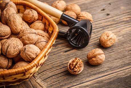 Walnuss als Heilpflanze