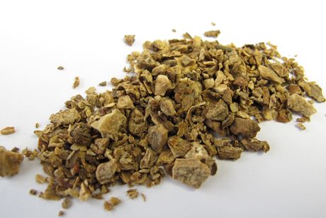 Teufelskralle als Heilpflanze