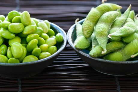 Soja als Heilpflanze