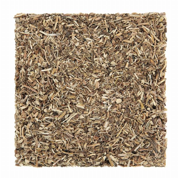Sarsaparilla