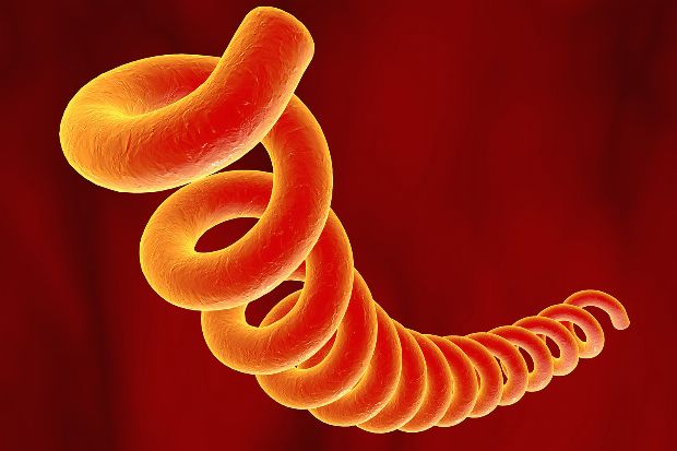 Syphilis