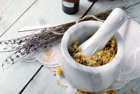 Allgemeines zu Heilpflanzen und ihre Wirkungen