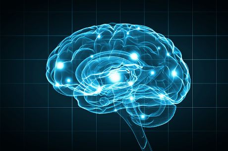 Gehirn & Nervenerkrankungen