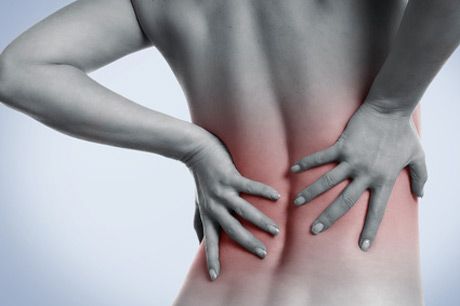 Nieren & Harn-Erkrankungen